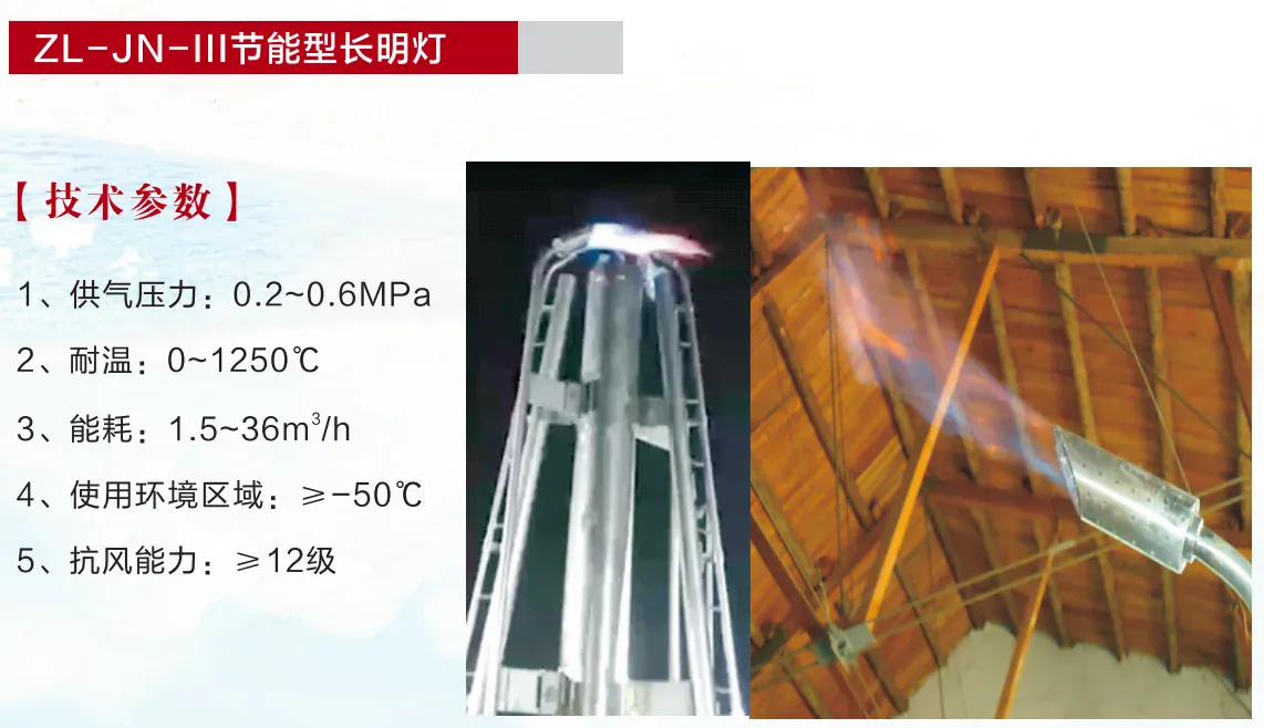 ZL-JN-III节能型长明灯